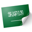 A sticker depicting the Kingdom of Saudi Arabia national flag with Arabic script and a sword. © Tigoli® 2026 All Rights Reserved Panda Loco Ltd 