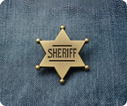 Sheriff Pin Badge