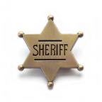 Sheriff Pin Badge