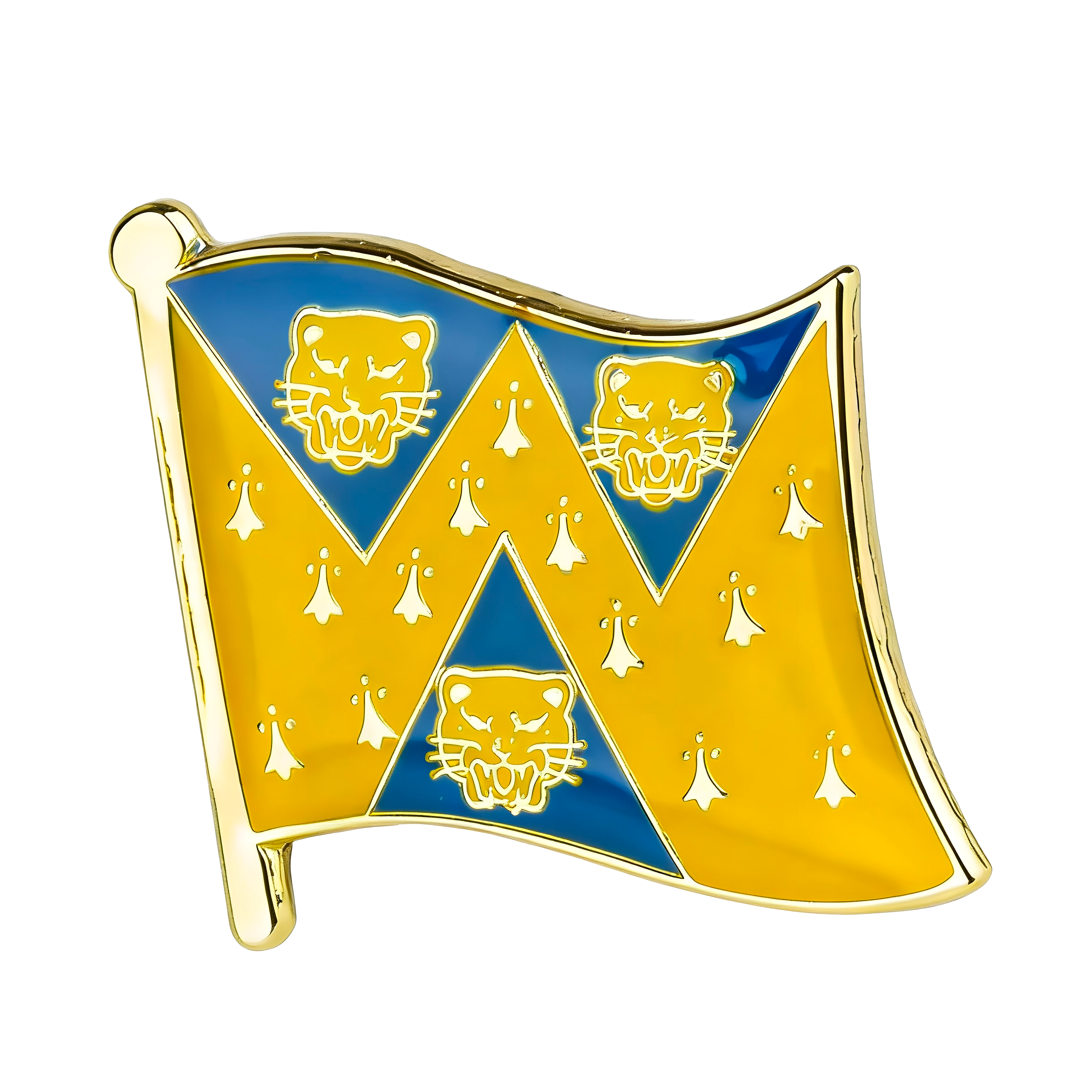 Pin con el escudo del Condado de Shropshire Imagen principal del producto