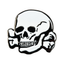 A silver-colored pin badge in the shape of a skull and crossbones, with a shiny finish and a butterfly clutch backing.