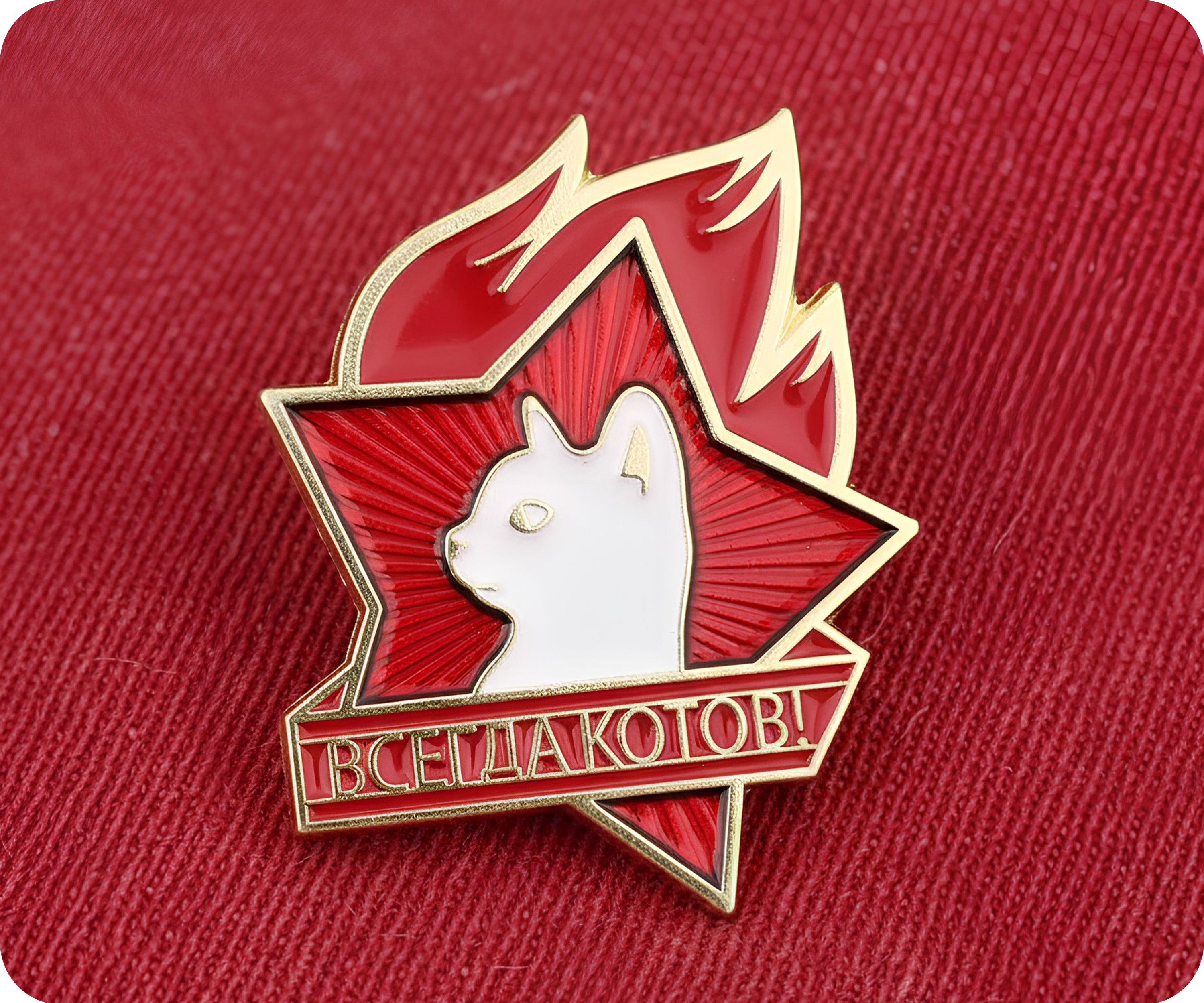 Soviet Young Pioneer Everything for the Cats! USSR Pin Badge Secondary image