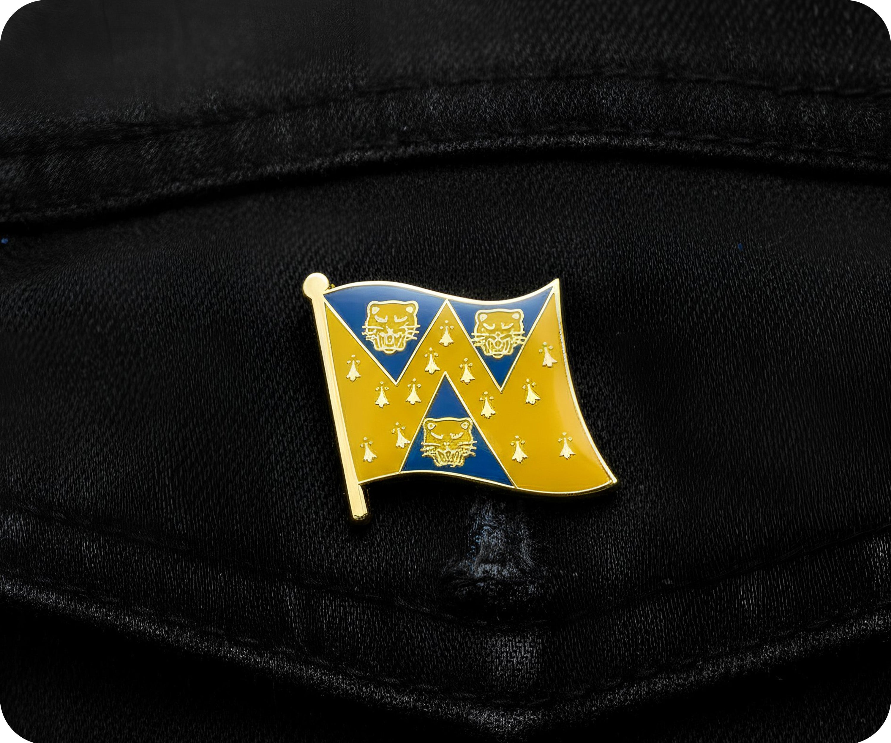 Shropshire County English Flag Pin Badge