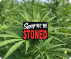 Sorry We're Stoned Pin Badge