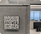 Don't Ask Stupid Questions Sarcasm Pin Badge