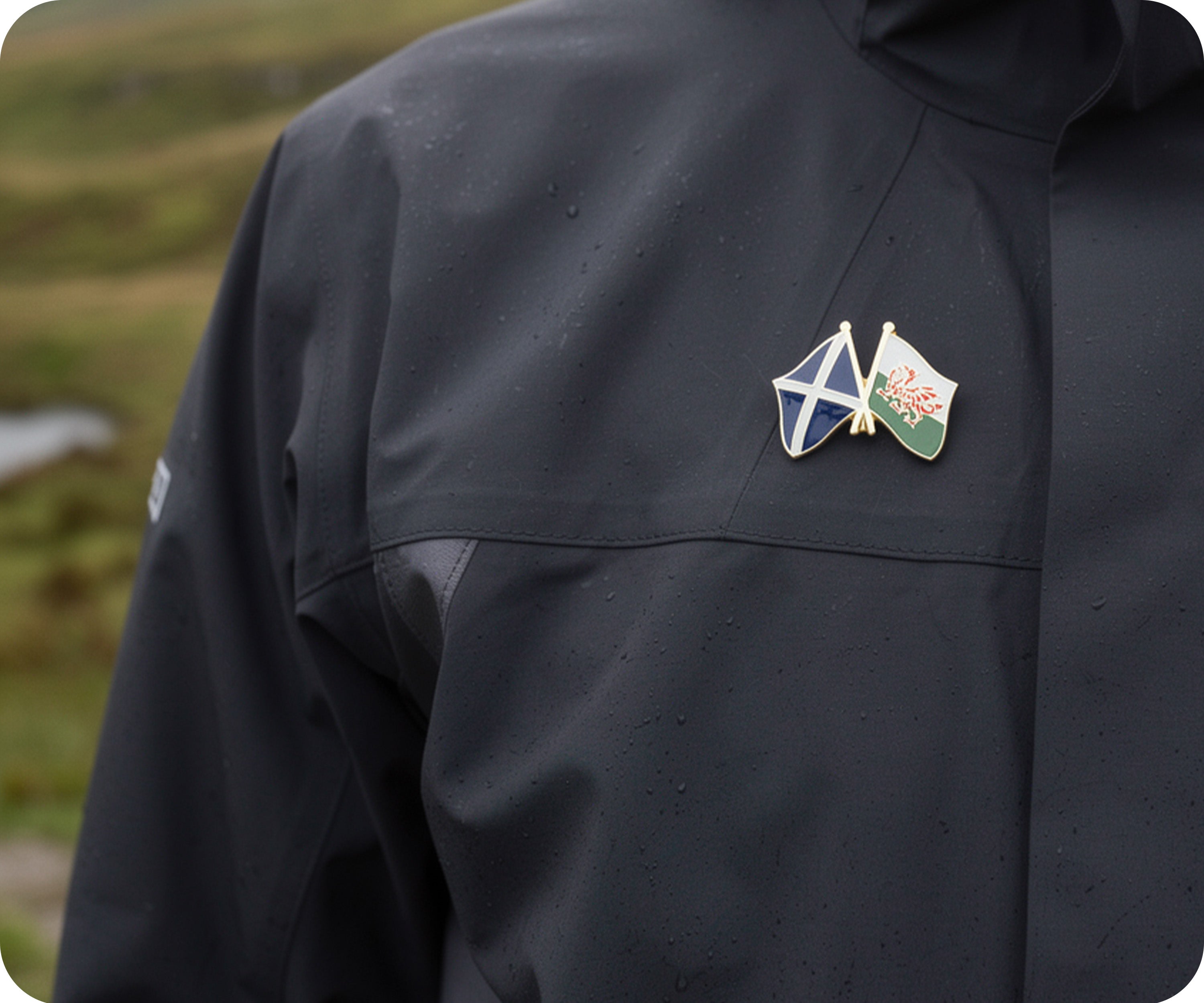 Scotland & Wales Friendship Pin Badge