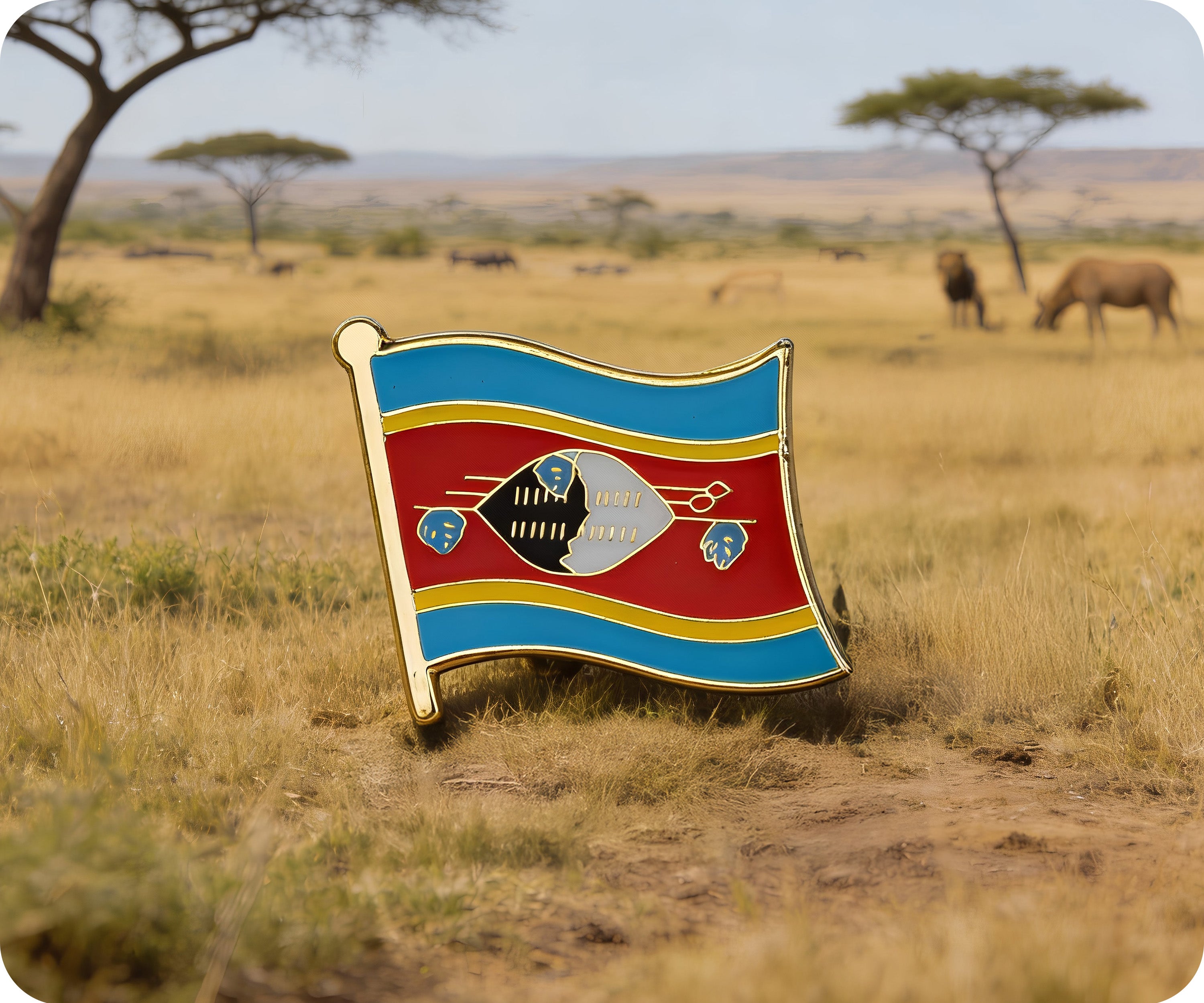 Swaziland Flag Pin Badge
