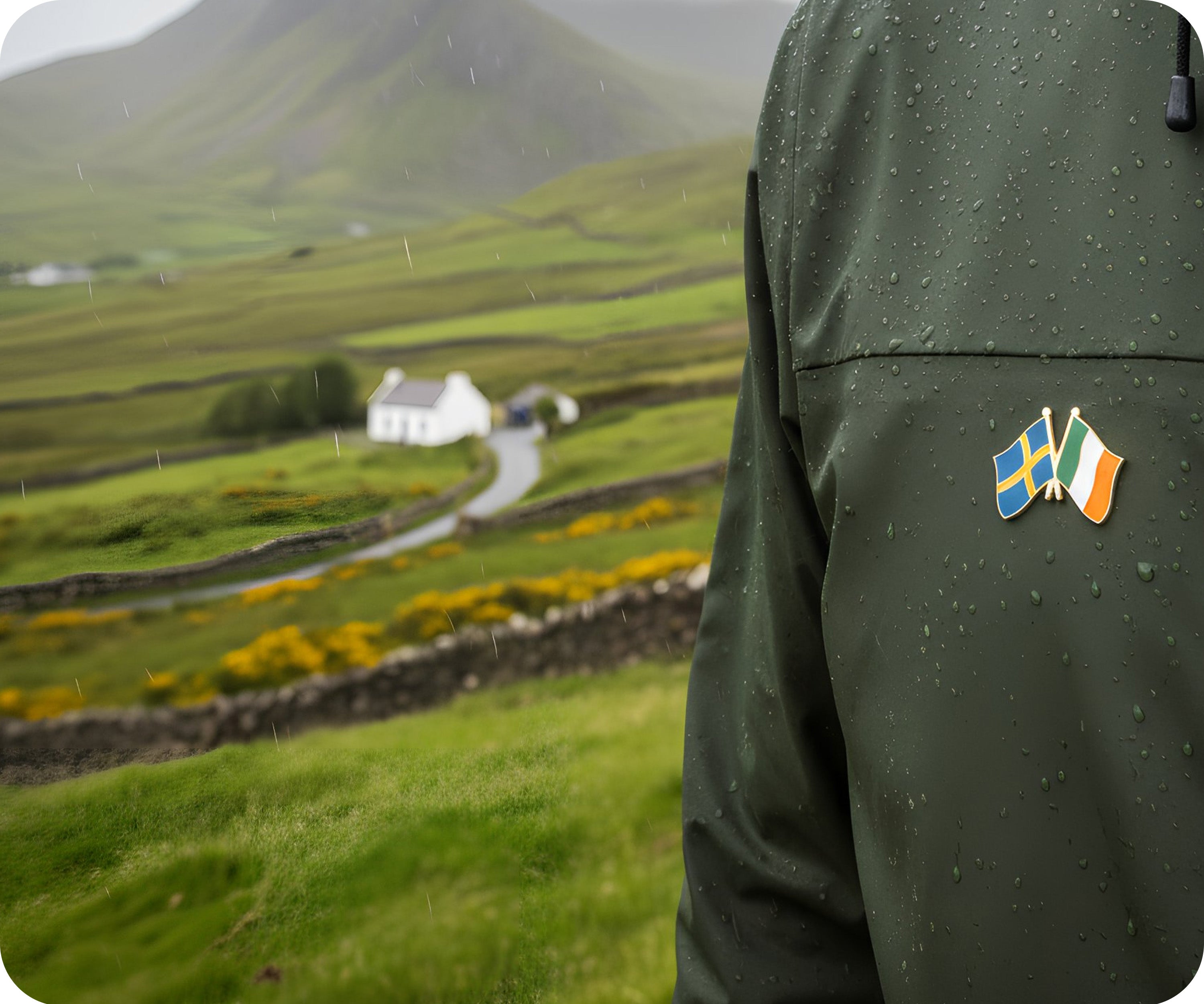 Sweden & Ireland Friendship Pin Badge