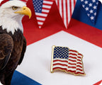 United States USA Diplomat Waving Flag Pin Badge