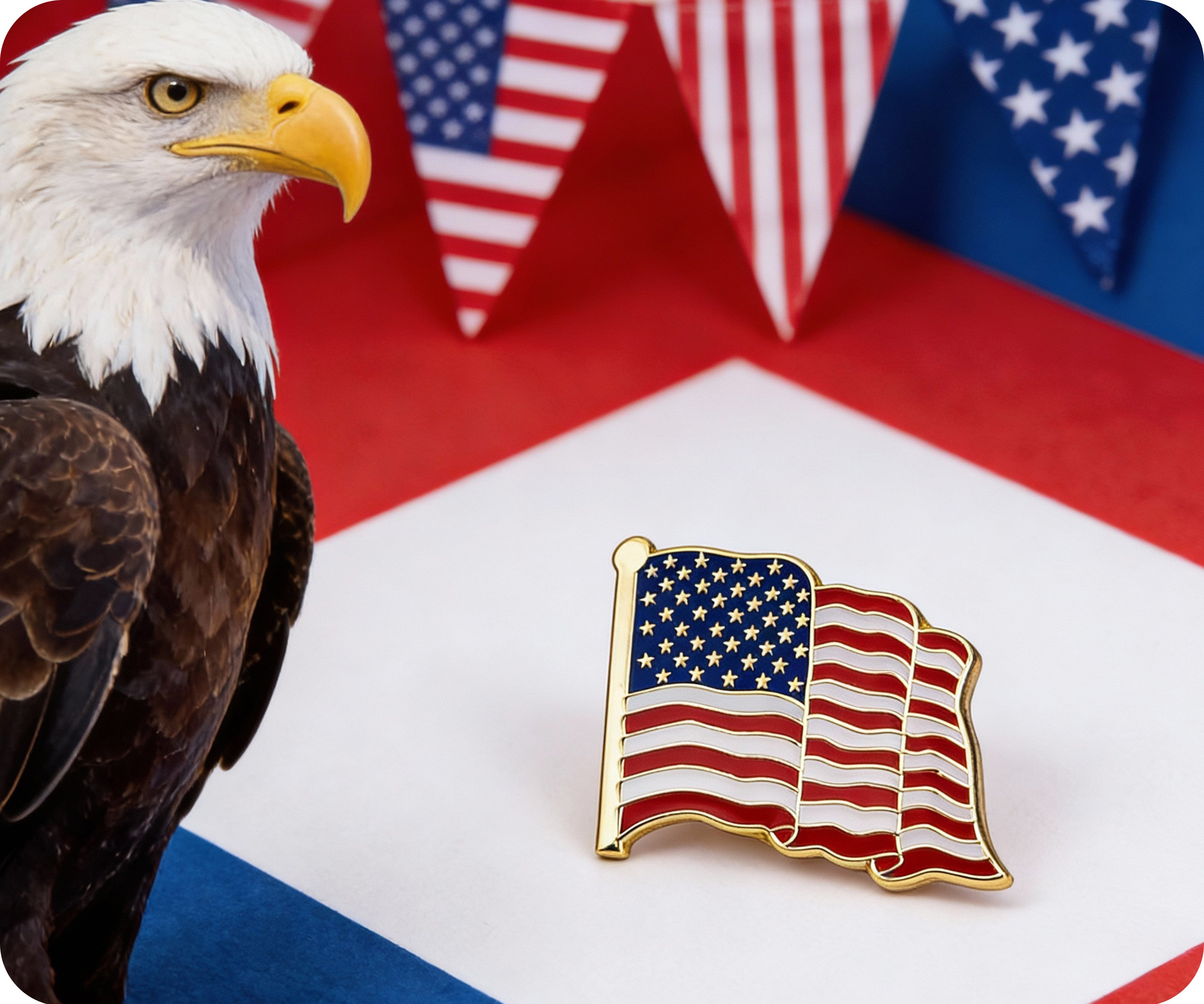 United States USA Diplomat Waving Flag Pin Badge
