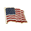 United States USA Diplomat Waving Flag Pin Badge