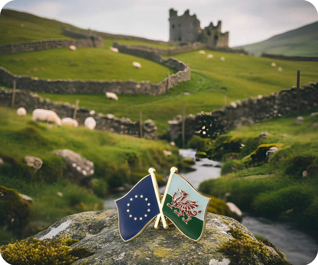 European Union & Wales Friendship Pin Badge