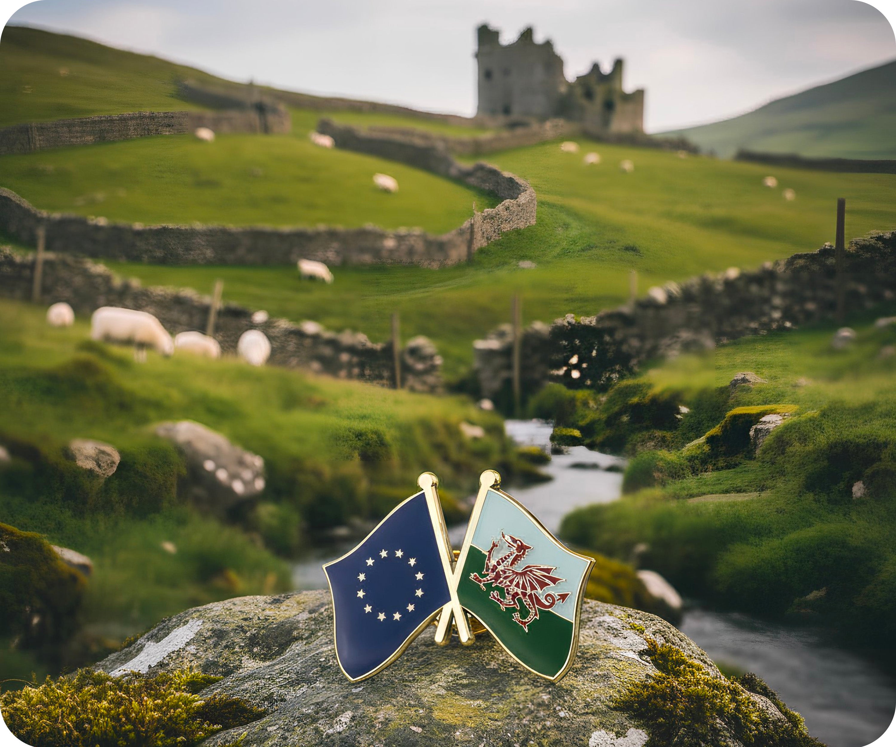 European Union & Wales Friendship Pin Badge