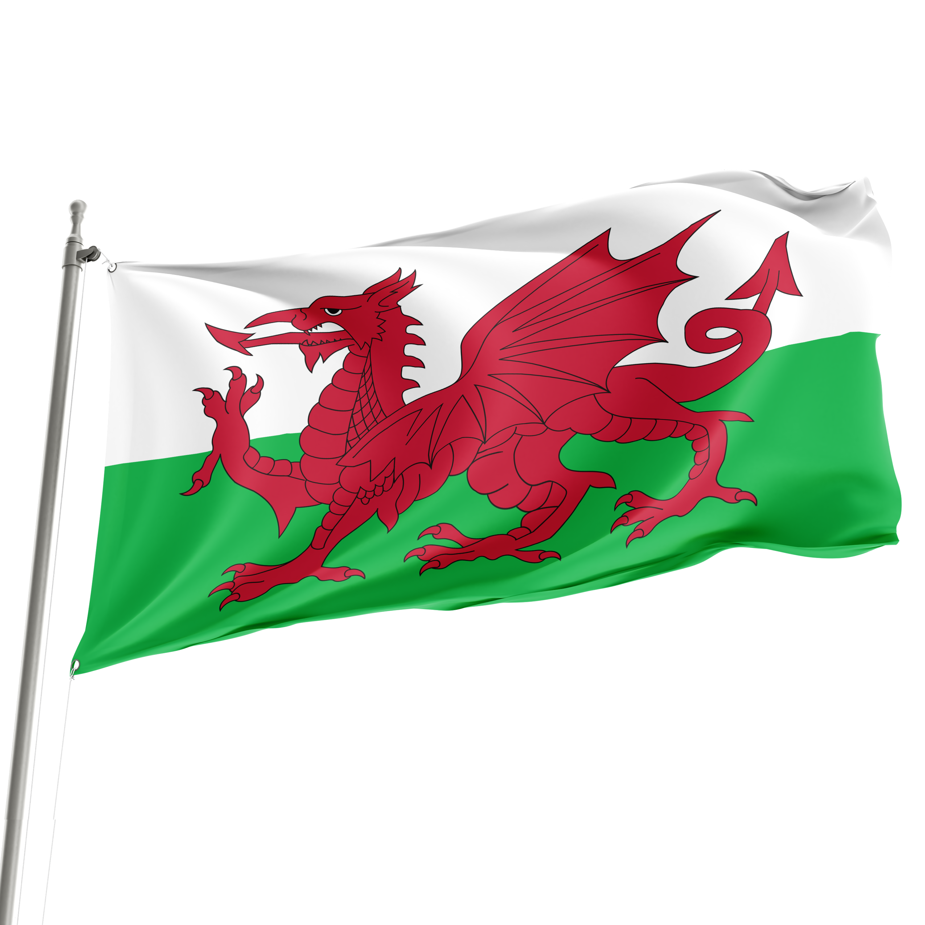 A 3' x 5' Wales flag with a red dragon on a green and white background, displayed on a flagpole. Imagen principal del producto