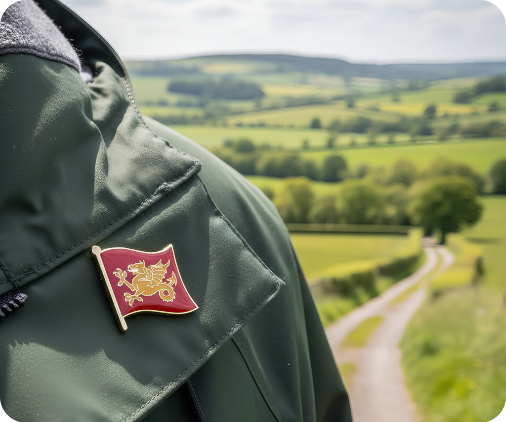 Kingdom Of Wessex Flag Pin Badge