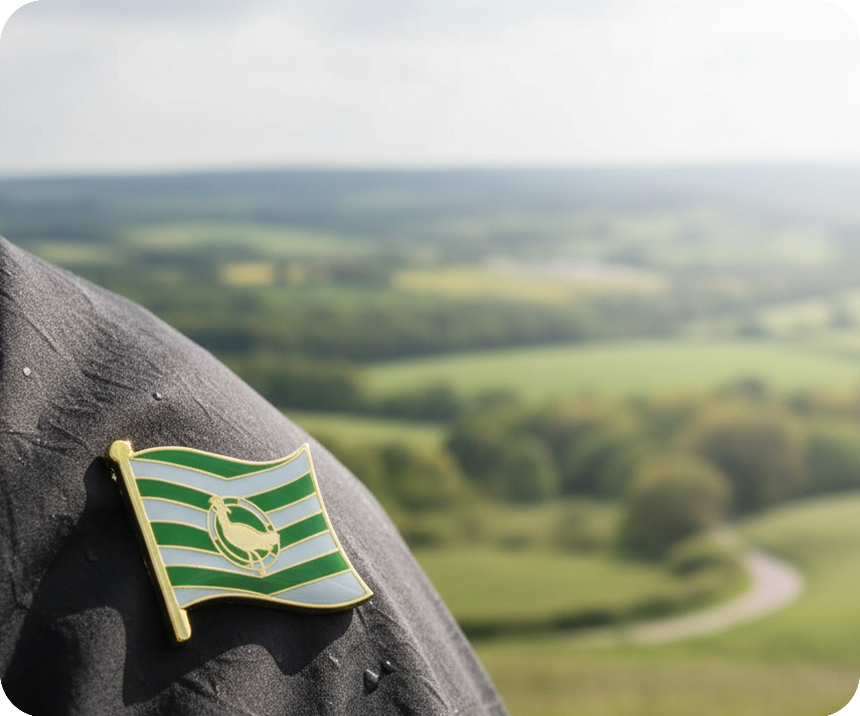Wiltshire English County Flag Pin Badge