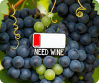 Social Battery Need A Wine Pin Badge