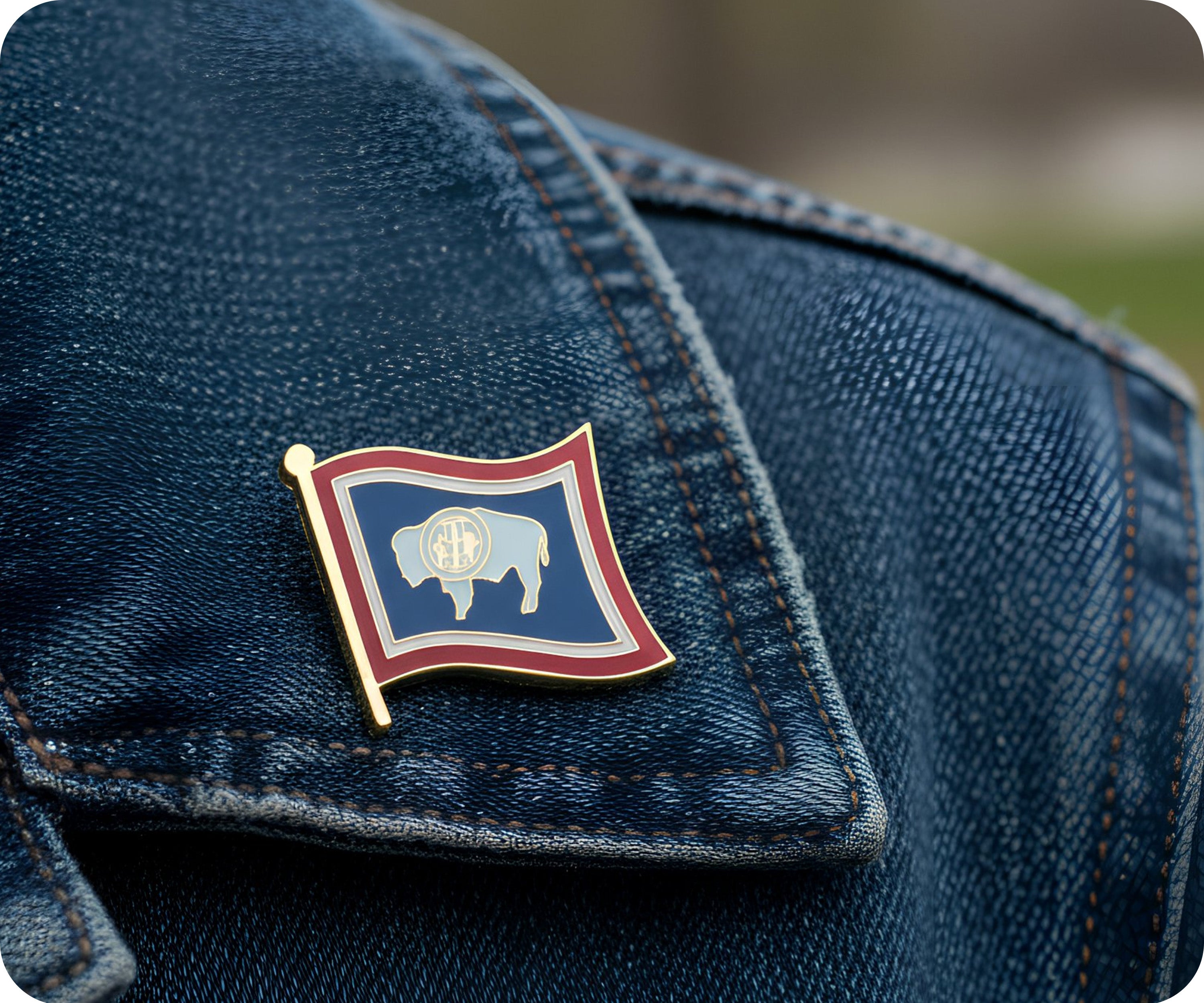 Wyoming U.S.A. United State Flag Pin Badge