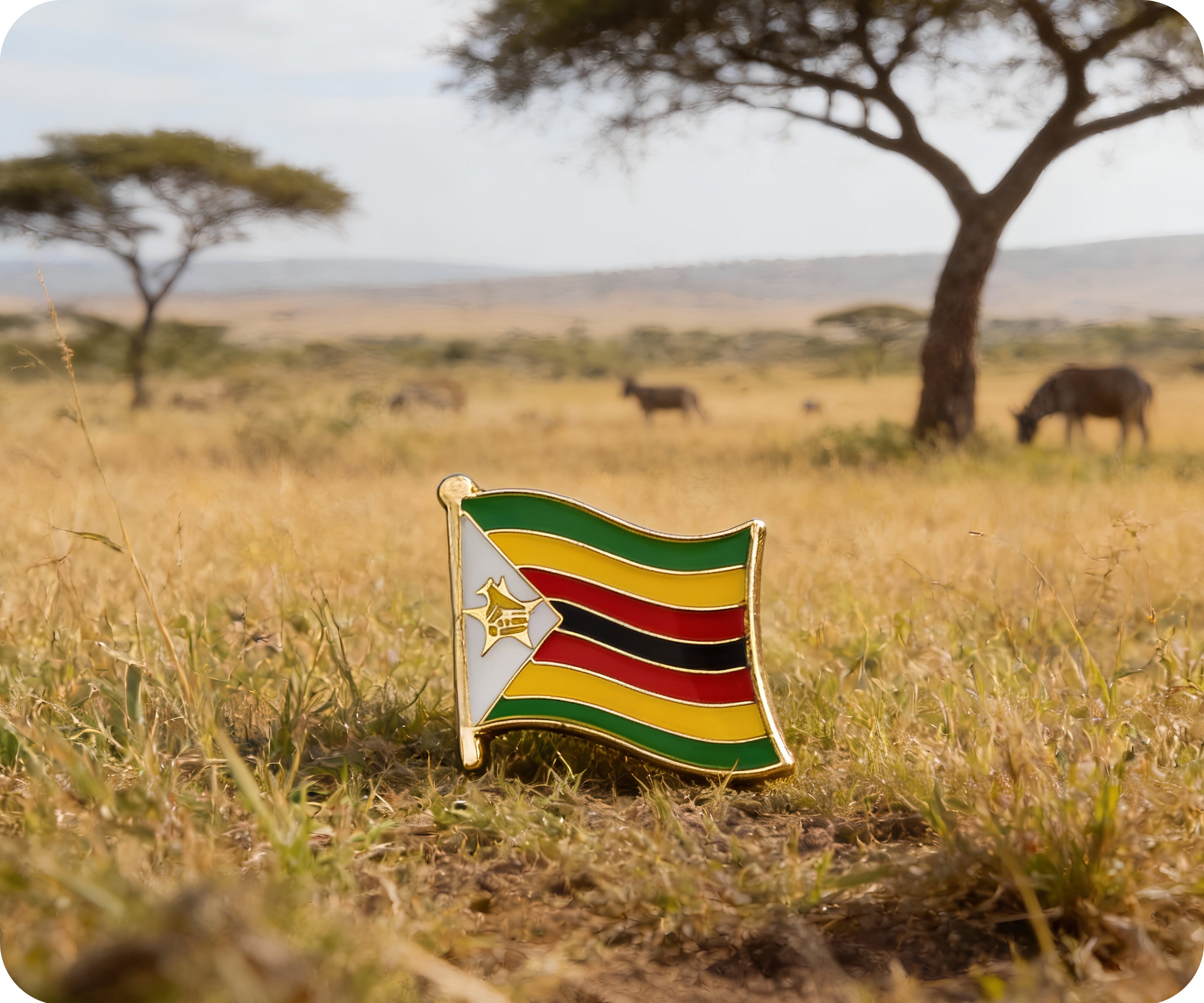 Pin de la bandera de Zimbabue Imagen secundaria del producto