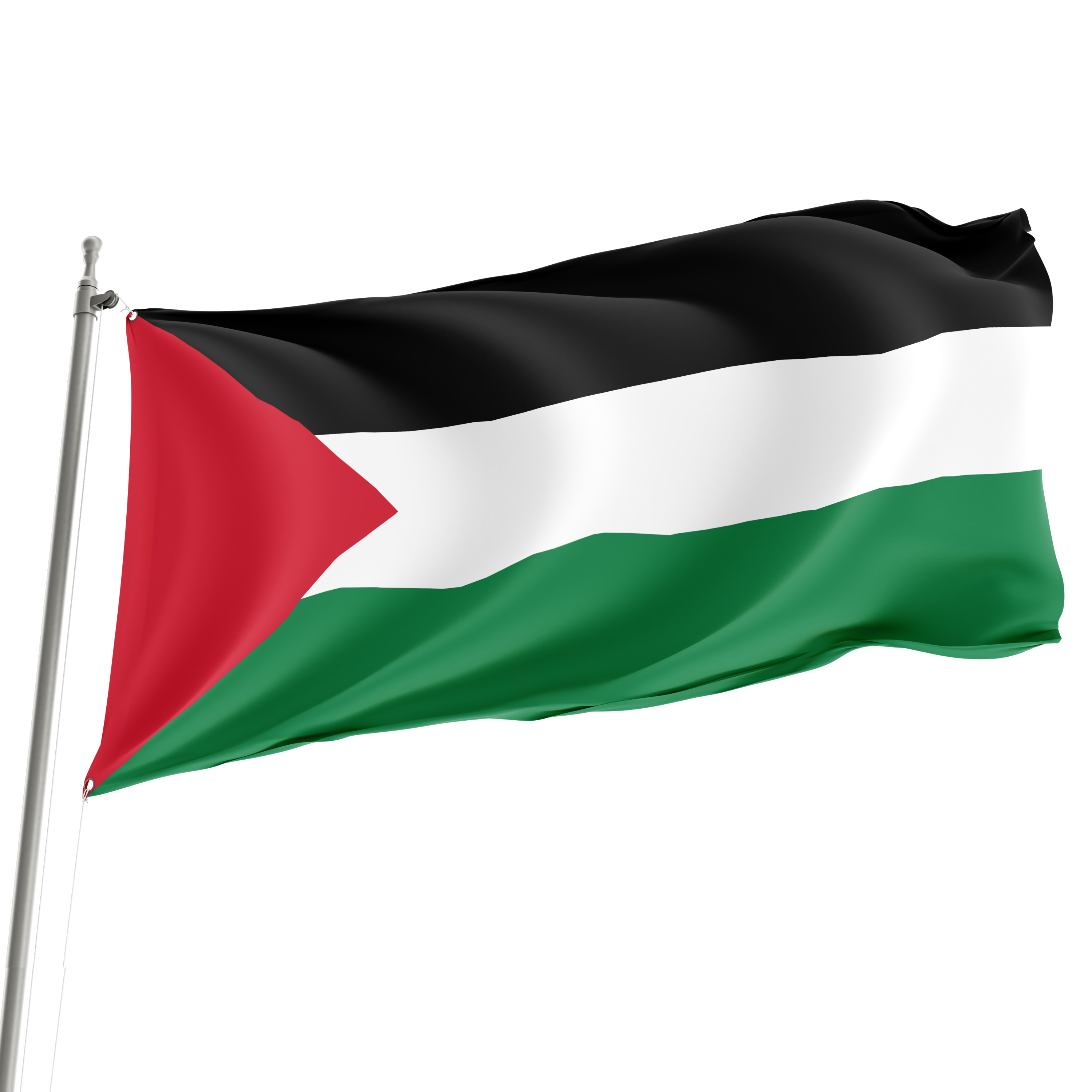 Bandera de Palestina de 3' x 5' Imagen principal del producto