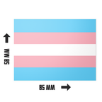 20 X Transgender Flag Stickers