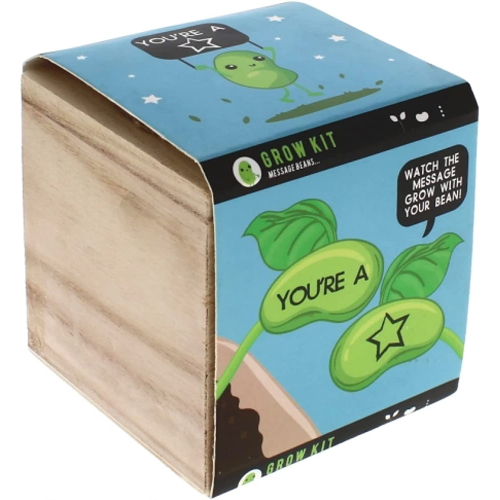 ¡CULTIVA UNA ESTRELLA DE FRIJOLES! - Cultiva tu propia planta de frijol estrella de la suerte, regalo de broma novedoso para Navidad  Imagen principal del producto