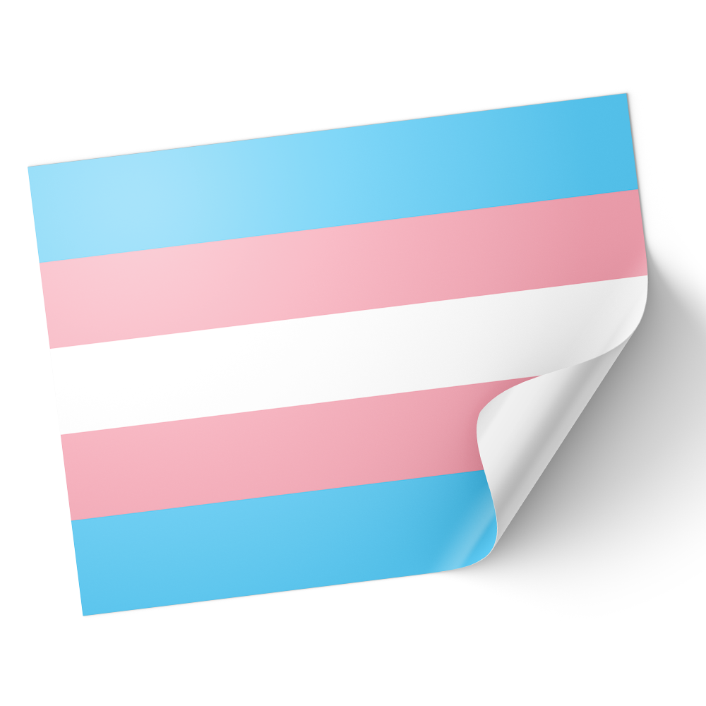A set of vinyl stickers with a gloss finish, featuring the transgender flag colors. © Tigoli® 2026 All Rights Reserved Panda Loco Ltd  Imagen principal del producto