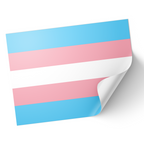 A set of vinyl stickers with a gloss finish, featuring the transgender flag colors. © Tigoli® 2026 All Rights Reserved Panda Loco Ltd 