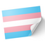 A set of vinyl stickers with a gloss finish, featuring the transgender flag colors. © Tigoli® 2026 All Rights Reserved Panda Loco Ltd 