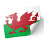 A sticker depicting the flag of Wales, featuring a red dragon on a green background. © Tigoli® 2026 All Rights Reserved Panda Loco Ltd 